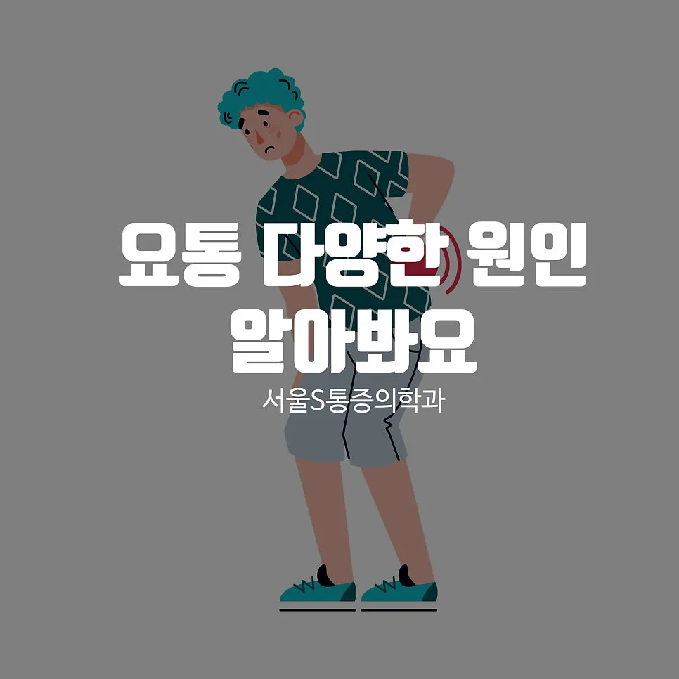 이수역 요통, 원인이 다양한 이유와 치료 방향 정리 관련 사진 1