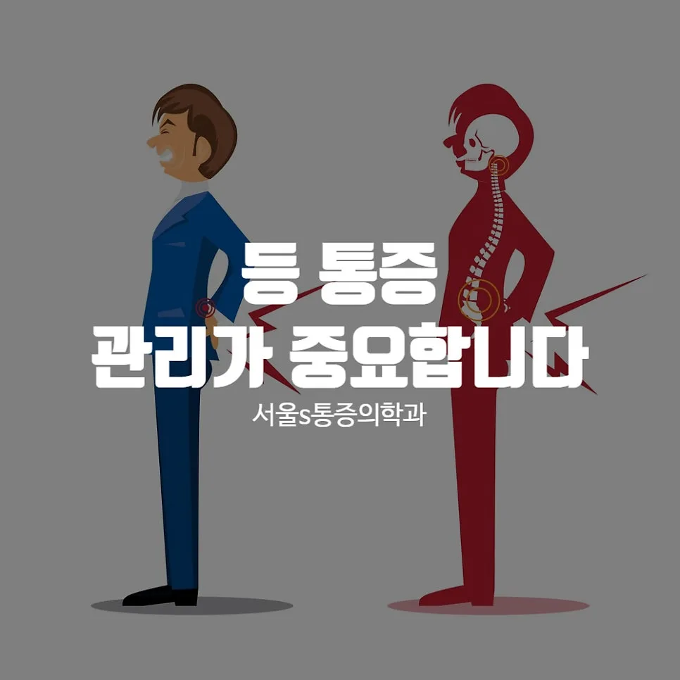 이수역 등통증, 방치하면 안 되는 8가지 의학적 원인 관련 사진 1
