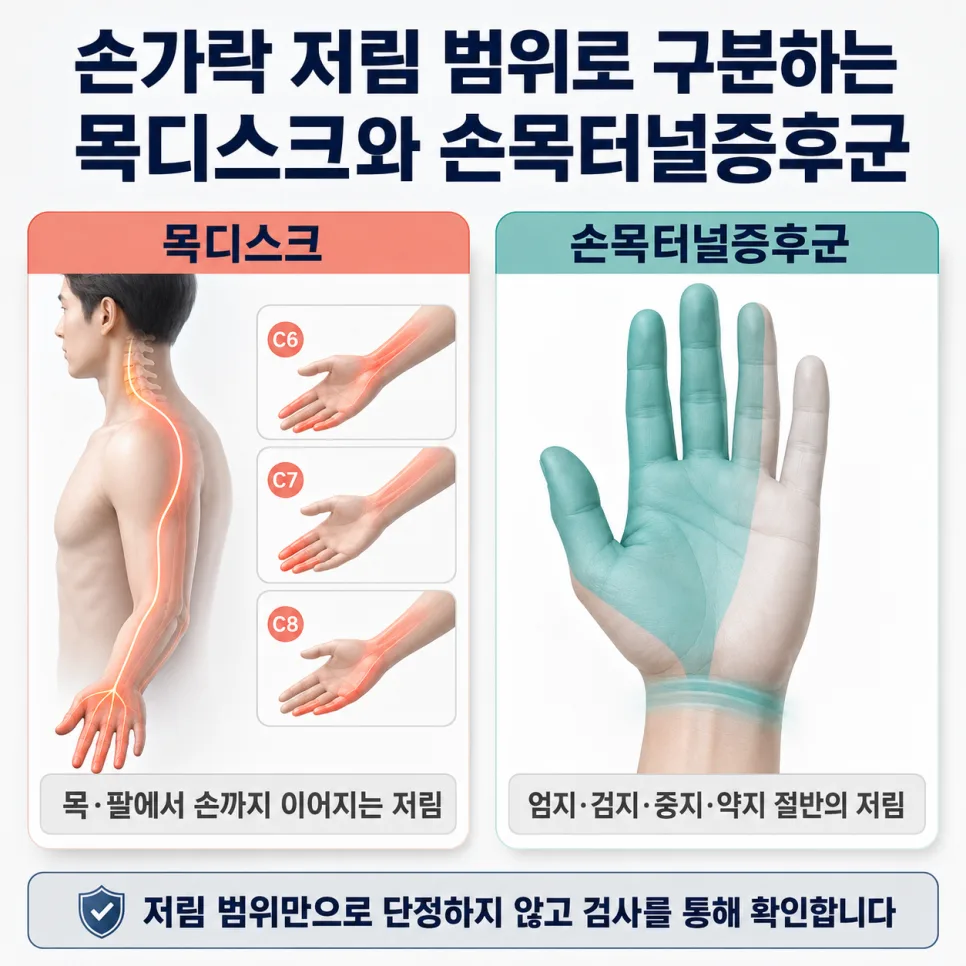 이수역 목디스크와 손목터널증후군, 저린 손가락으로 구분하는 법 관련 사진 2